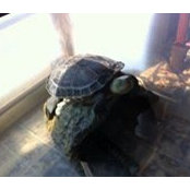 Manabu Yahagi's photo