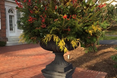 Stafford Outdoor Garden Urn & Daventry Cast Iron Pedestal in Lead by Campania