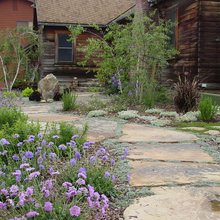 Landscape Ideas