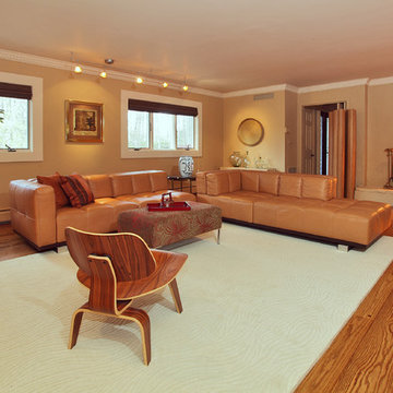 Dens and living rooms