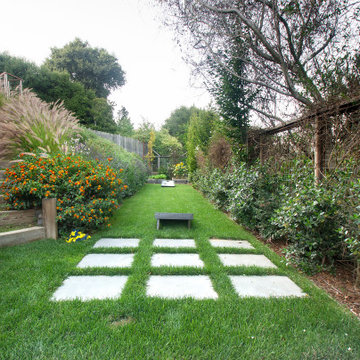 Mill Valley Hillside Landscaping
