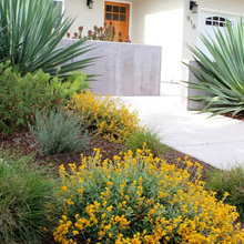 front yard landscaping