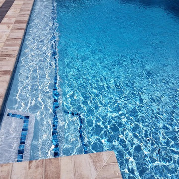 The Penguin Pool