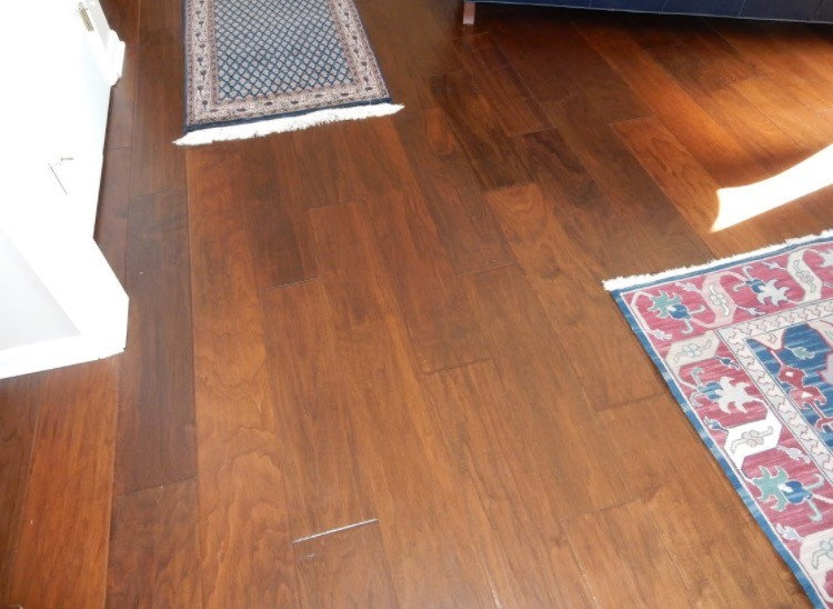Webster, NY Home featuring Hallmark Hardwood