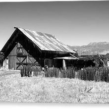 black and white art