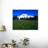 Meadow near Mount Rainier Wall Mural - 60 Inches W x 48 Inches H