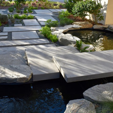 Modern Front Yard Water Garden
