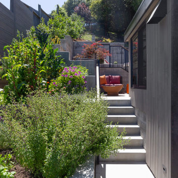 Mill Valley