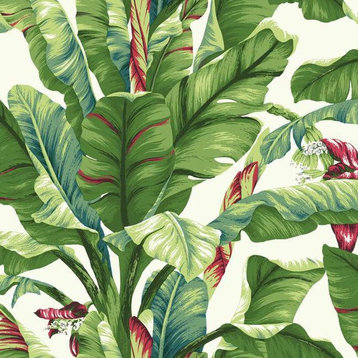 York Wallcoverings AT7068 Tropics Banana Leaf Wallpaper, Green - Ultra