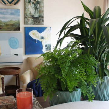 san francisco redesign | the family room