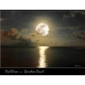 Judi Lovas's photo
