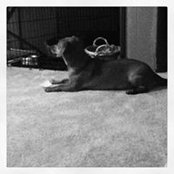 Chuck Kopetchne's photo