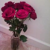 LeeAnn Henry Saleh's photo