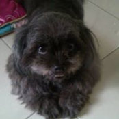 Sally Liさんの写真