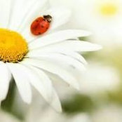 Foto von Trish Bence May
