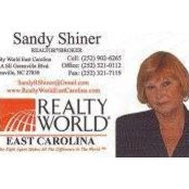 Sandy Shiners billede