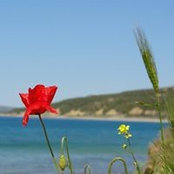 Foto von Wayne Simpson