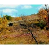 Laura Sadowsky's photo