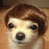 Ray Hahn's photo