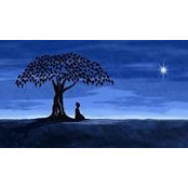 Larry Distefano's photo