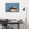 Sunshine Rock (Turtles) Wildlife Photography Unframed Wall Art Print, 24" X 36"