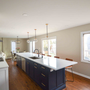 Arlington Heights Blue and White Kitchen