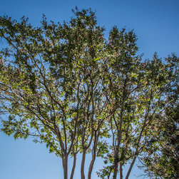 Power Washing - Products