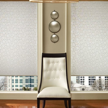 Pleated Shades