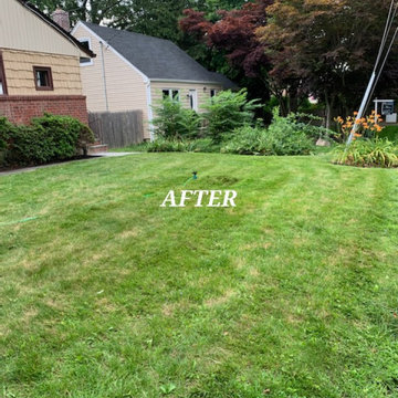 Cleanup and Mulching