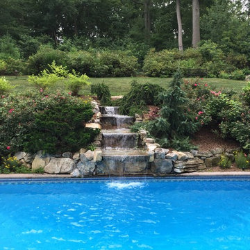 Lush Tranquility