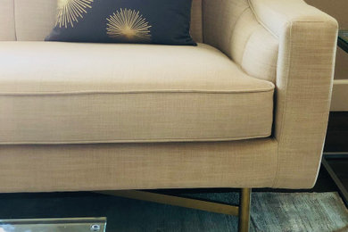 Example of a trendy living room design in Los Angeles