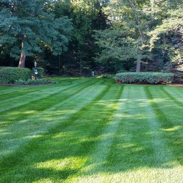 Residential Landscape Maintenane