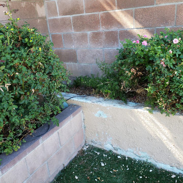Backyard clean up and remodel