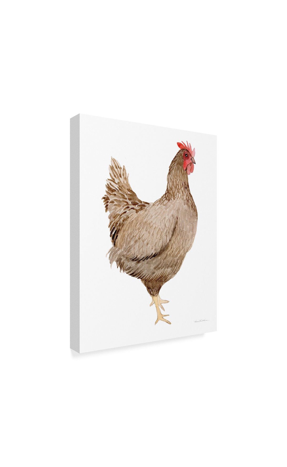 Kathleen Parr Mckenna 'Life On The Farm Chicken Element III' Canvas Art ...