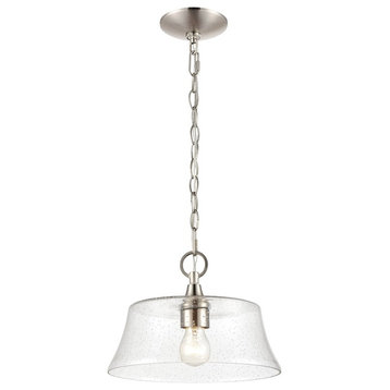 Millennium Caily 1 Light 8.4" Pendant, Brushed Nickel/Clear - 2111-BN