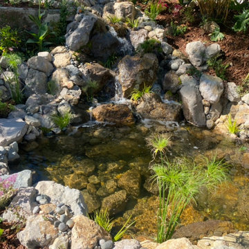 Encino Pond, Pondless Waterfall & Landscape Project