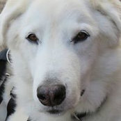 Sharon McAllister's photo