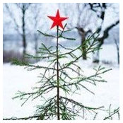 Wanda Mccarley's photo