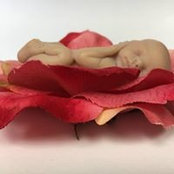 Jennifer McSweeney's photo