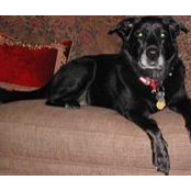 Lizabeth Tabor's photo