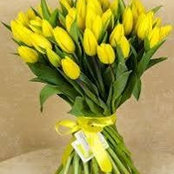 Leyla Caiali's photo