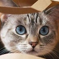 Foto di profilo di Greta Lederer