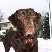 Anthony Byrne's photo