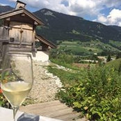 Pauline Vuillemey's photo