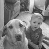 Mike Gee's photo