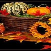 Shanon Quillen's photo