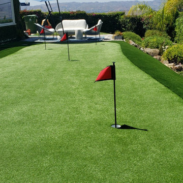 Backyard Putting Green