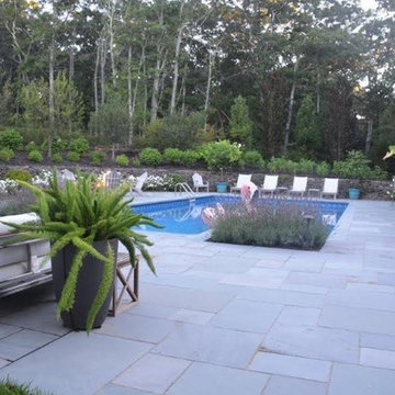 Landscape In the Hamptons