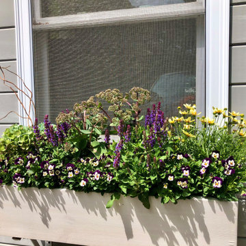 Summer Contrast Window Boxes