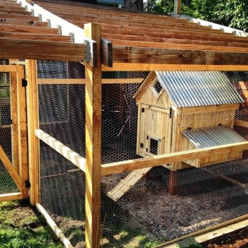Chicken Coop